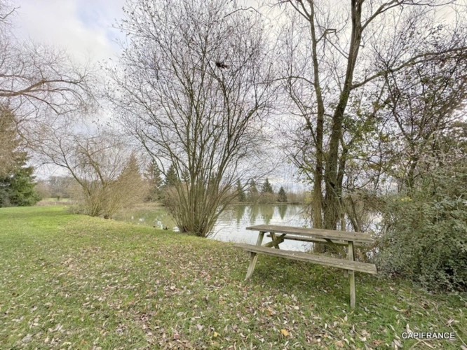 Photos 6 - Rurale - Terrain de loisir avec étangs proche de la Ferté-Bernard (72400)