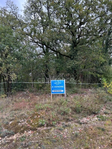 Photos 1 - Rurale - Terrain à vendre  16300m² SAINT PANTALY D'EXCIDEUIL (24)