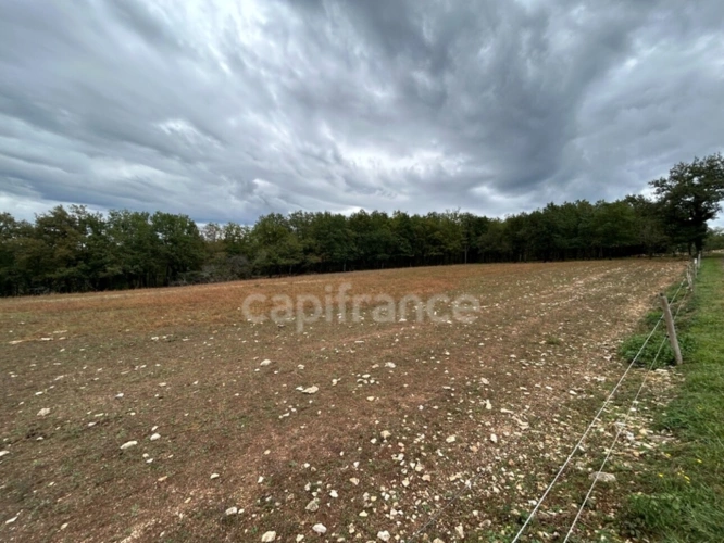 Photos 2 - Rurale - Terrain à vendre  16300m² SAINT PANTALY D'EXCIDEUIL (24)