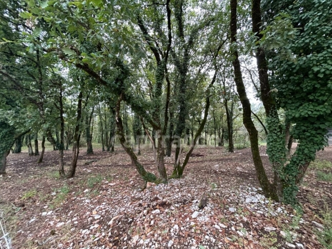 Photos 3 - Rurale - Terrain à vendre  16300m² SAINT PANTALY D'EXCIDEUIL (24)