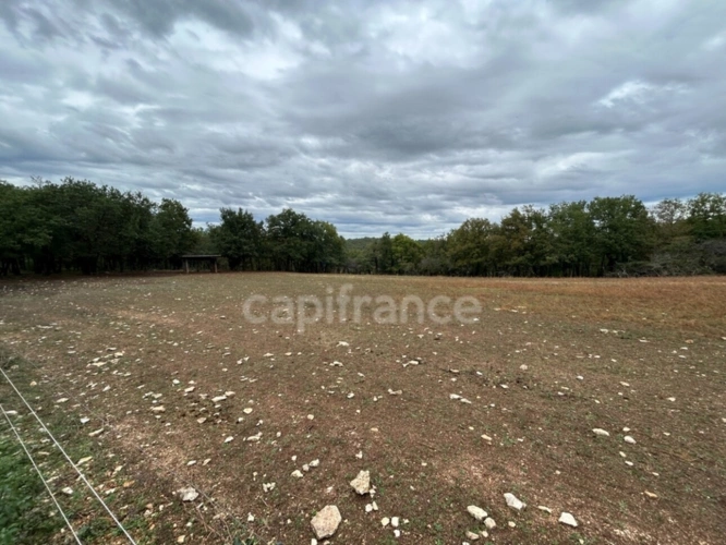 Photos 4 - Rurale - Terrain à vendre  16300m² SAINT PANTALY D'EXCIDEUIL (24)