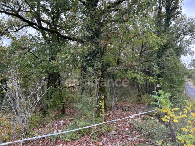 Photos 5 - Rurale - Terrain à vendre  16300m² SAINT PANTALY D'EXCIDEUIL (24)