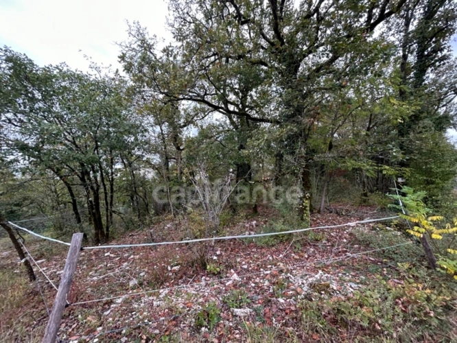 Photos 6 - Rurale - Terrain à vendre  16300m² SAINT PANTALY D'EXCIDEUIL (24)