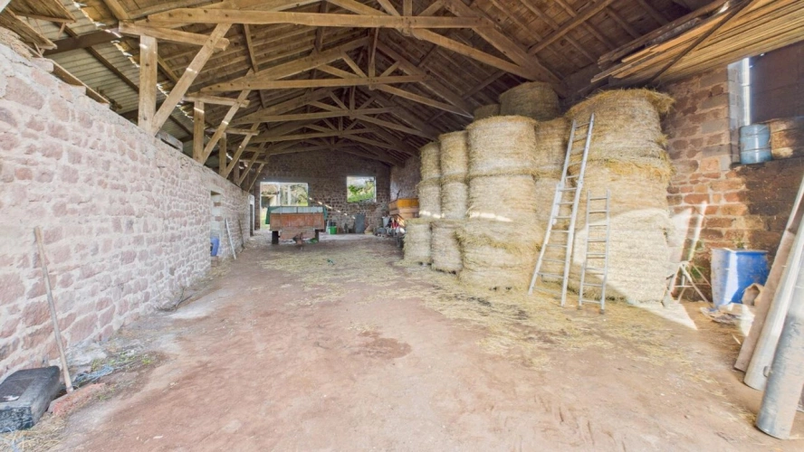 Photos 13 - Équestre - Maison