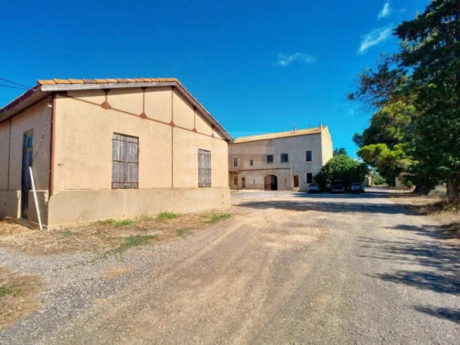 Photos 5 - Viticole - Propriété