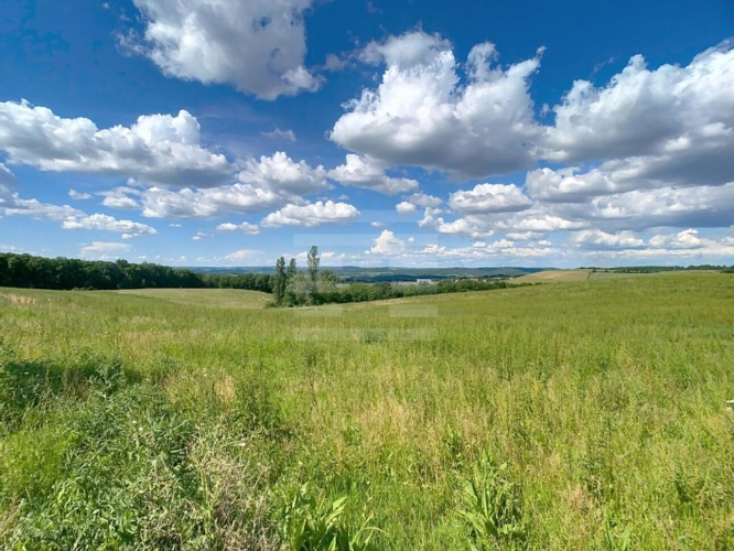 Photos 18 - Agricole - Propriété