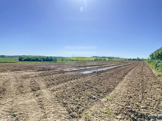 Photos 3 - Équestre - Propriété agricole