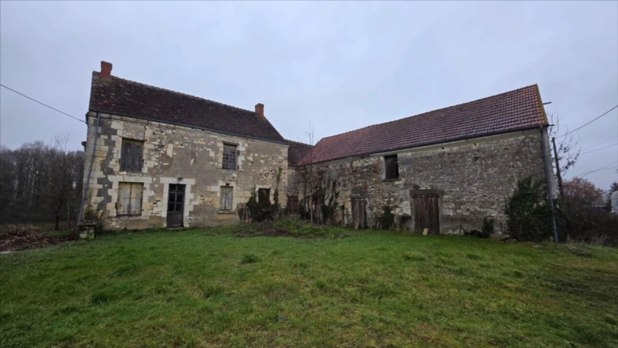 Photos 1 - Land - Exclusif Luçay le Mâle