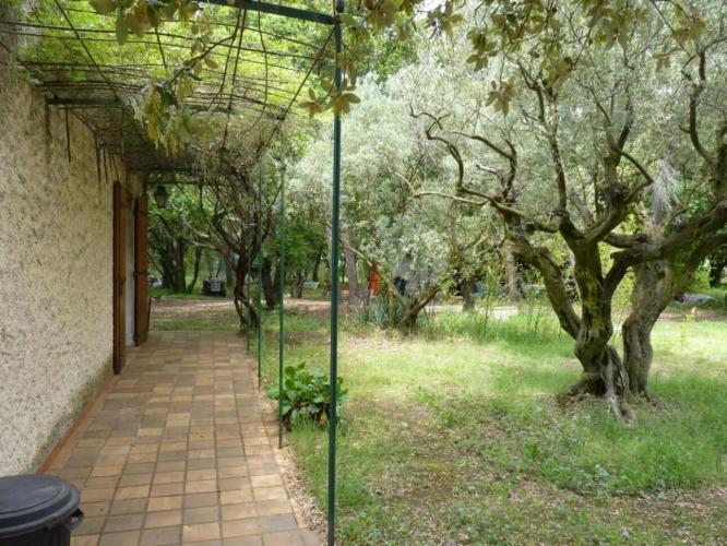 Photos 4 - Land - House