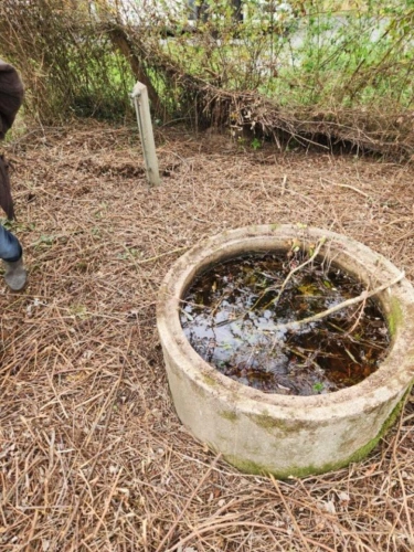 Photos 20 - Rurale - Maison à rénover