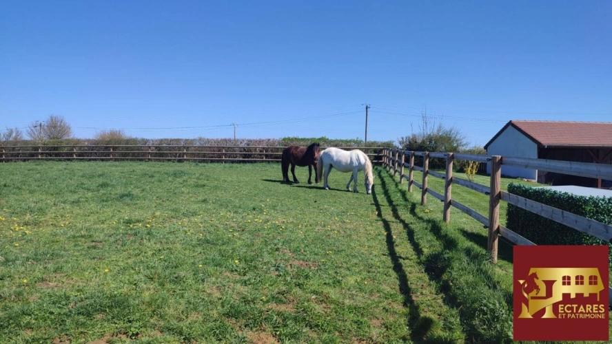 Photos 3 - Équestre - Propriété équestre 54 hectares!