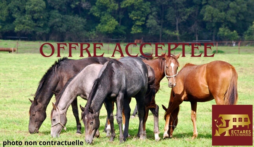 Photos 1 - Équestre - Structure équestre 13 hectares