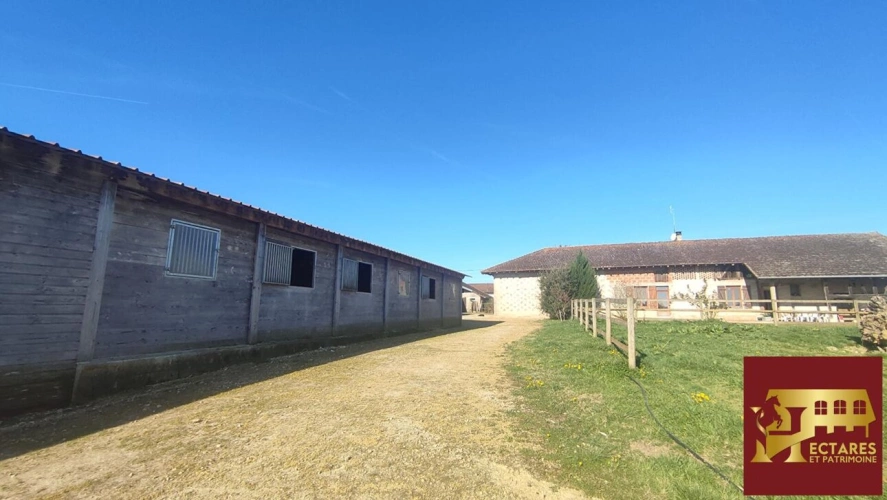 Photos 2 - Équestre - Habitation et écurie sur 4,1 hectares