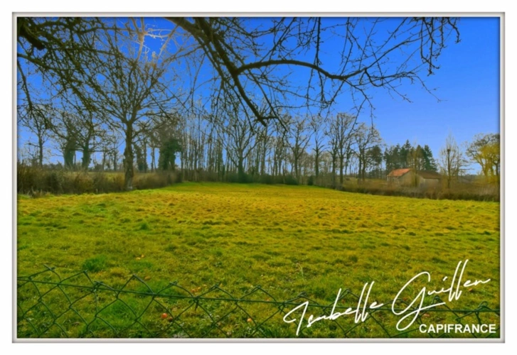 Photos 8 - Touristique - Proprieté à vendre : ensemble de 2 maisons SAINT MAUR (18)