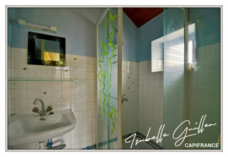 Photos 25 - Touristique - Proprieté à vendre : ensemble de 2 maisons SAINT MAUR (18)