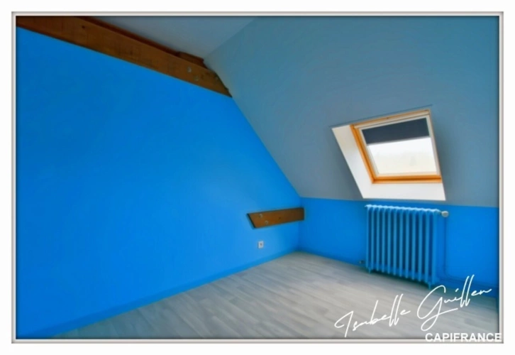 Photos 44 - Touristique - Proprieté à vendre : ensemble de 2 maisons SAINT MAUR (18)