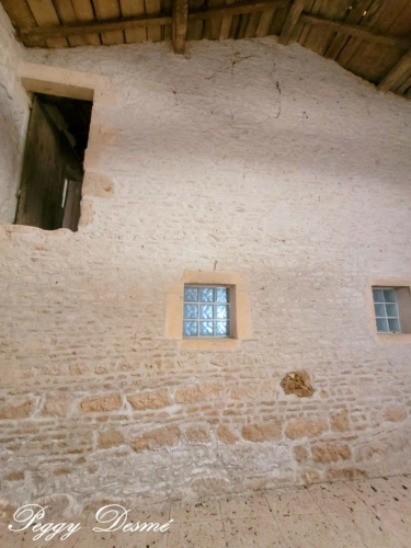 Photos 14 - Prestige - Propriété à vendre 14 pièces SAINT JEAN D'ANGELY (17) - Ancien domaine viticole, Bâti de 940 m2, Maison de maître, Dépendances