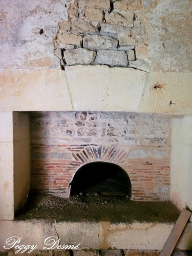 Photos 17 - Prestige - Propriété à vendre 14 pièces SAINT JEAN D'ANGELY (17) - Ancien domaine viticole, Bâti de 940 m2, Maison de maître, Dépendances