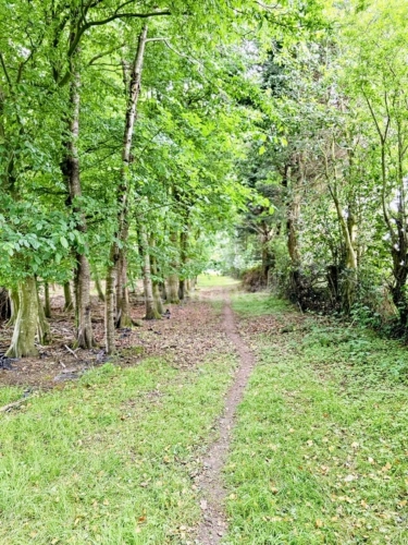 Photos 17 - Touristique - À VENDRE BEAU POTENTIEL POUR CET ANCIEN CORPS DE FERME AVEC GÎTE – 227 m² – SECTEUR LE MESNIL-RÉAUME (76)