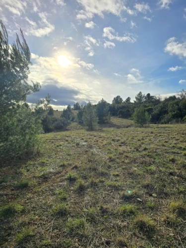 Photos 1 - Agricultural - Agricultural land of 8,500 m² in GABIAN (34)