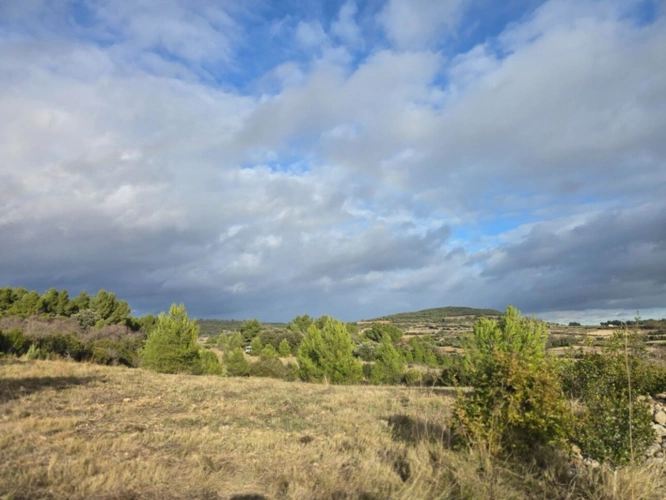 Photos 3 - Agricultural - Agricultural land of 8,500 m² in GABIAN (34)