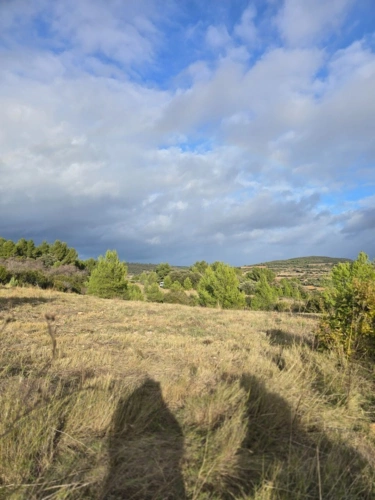 Photos 5 - Agricultural - Agricultural land of 8,500 m² in GABIAN (34)