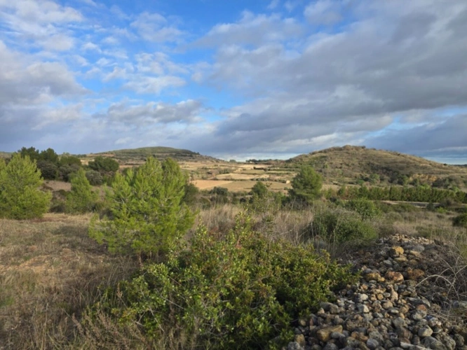 Photos 6 - Agricultural - Agricultural land of 8,500 m² in GABIAN (34)