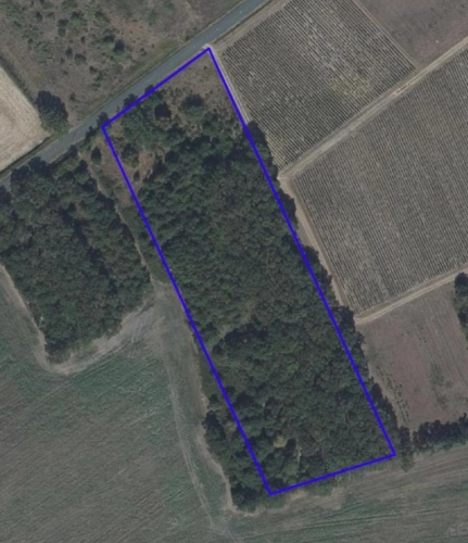 Photos 1 - Forestière - Vente bois   Parcelles forestières à VESDUN (Cher)