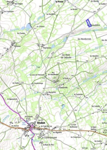 Photos 2 - Forestière - Vente bois   Parcelles forestières à VESDUN (Cher)