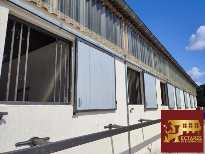 Photos 5 - Équestre - Domaine équestre + de 30 hectares