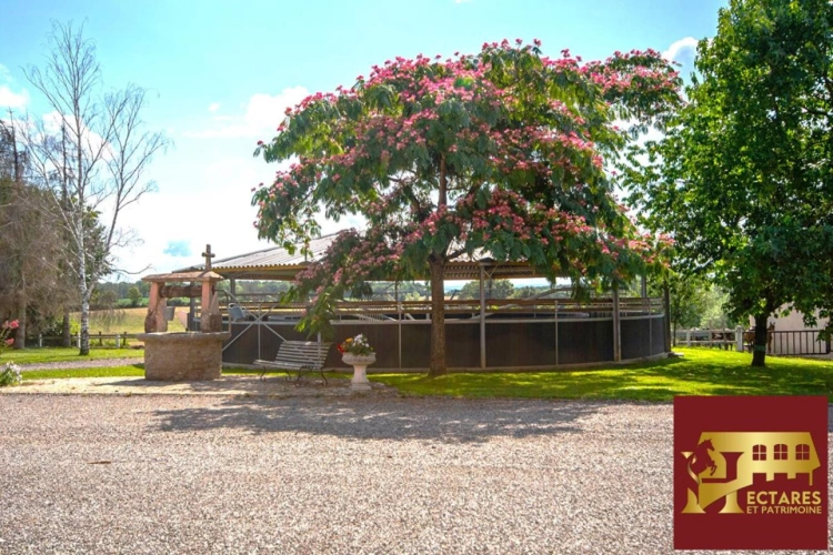 Photos 7 - Équestre - Domaine équestre + de 30 hectares