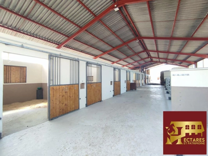 Photos 8 - Équestre - Domaine équestre + de 30 hectares