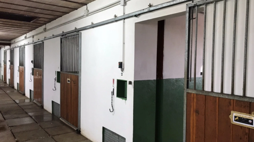 Photos 9 - Équestre - Domaine équestre + de 30 hectares