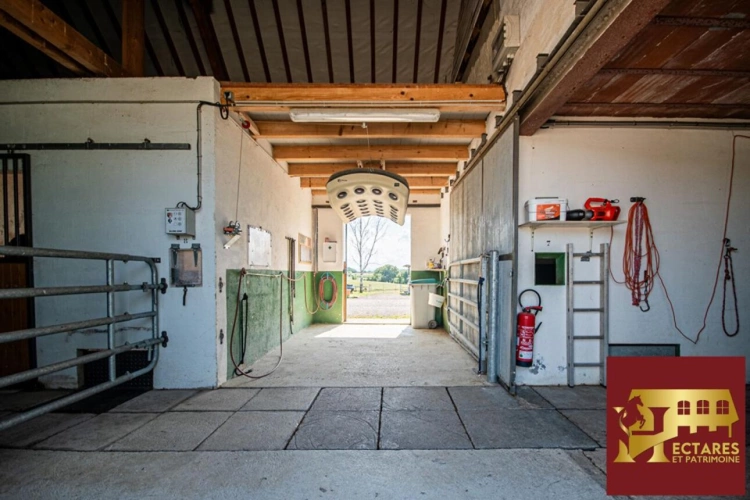 Photos 10 - Équestre - Domaine équestre + de 30 hectares