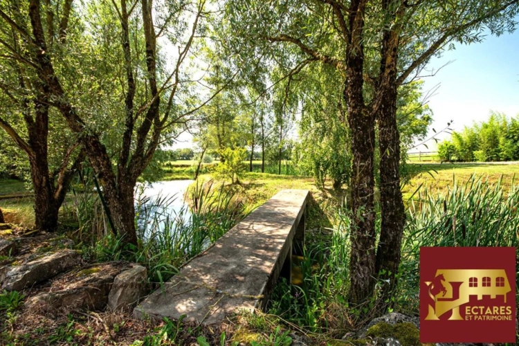 Photos 12 - Équestre - Domaine équestre + de 30 hectares