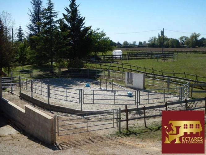 Photos 13 - Équestre - Domaine équestre + de 30 hectares