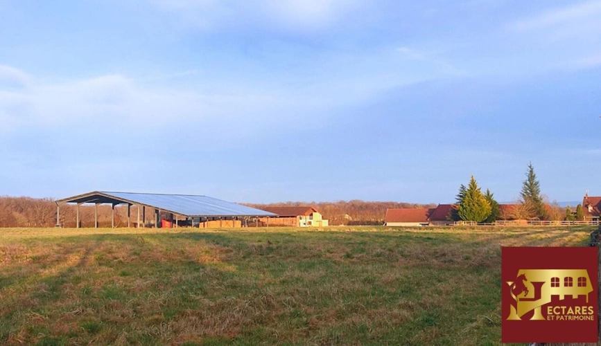 Photos 14 - Équestre - Domaine équestre + de 30 hectares
