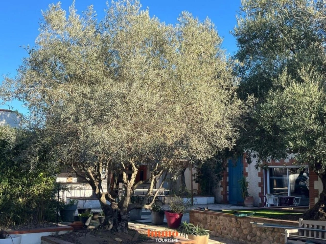 Photos 11 - Tourist - Domaine Touristique clé en main avec 5 gîtes, 2 piscines et Ma