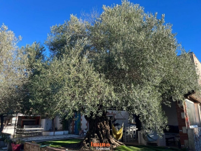 Photos 15 - Tourist - Domaine Touristique clé en main avec 5 gîtes, 2 piscines et Ma