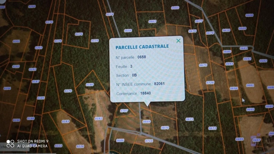 Photos 1 - Rural - Woodland – forest