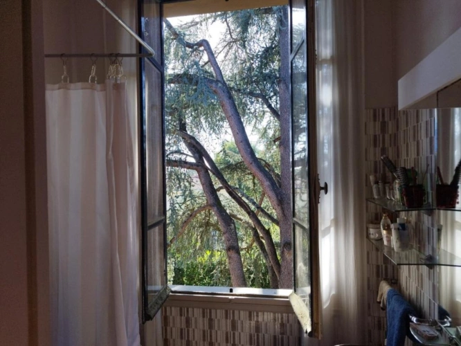 Photos 15 - Land - Character property