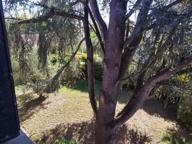 Photos 19 - Land - Character property