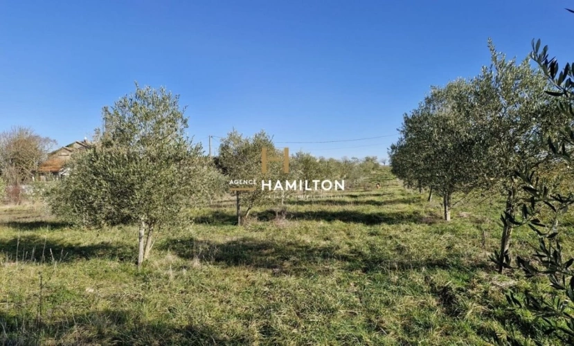 Photos 6 - Agricultural - Farming property