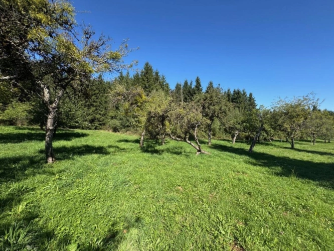 Photos 10 - Land - Farm with outbuildings