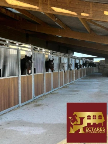 Photos 2 - Équestre - Structure complète 21 hectares attenants