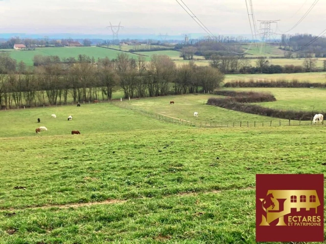 Photos 8 - Équestre - Structure complète 21 hectares attenants