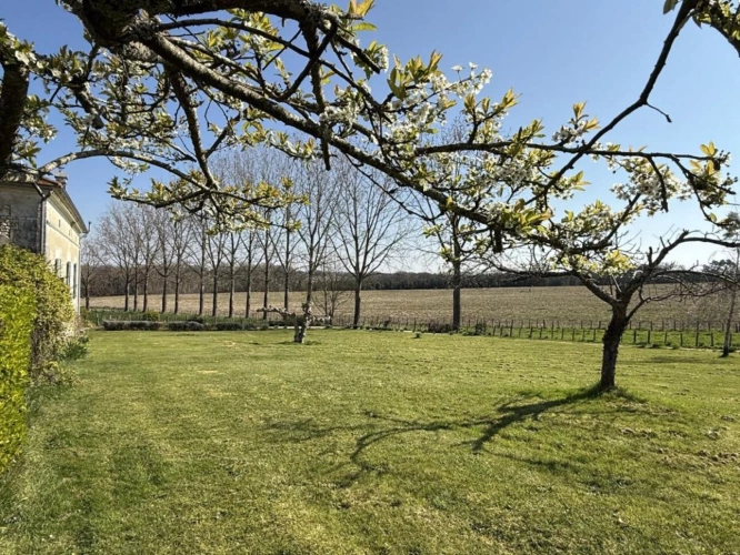 Photos 5 - Rurale - Maison de caractère