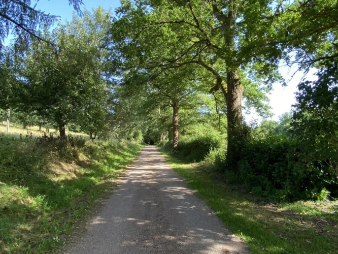 Photos 20 - Prestigious - Manorhouse