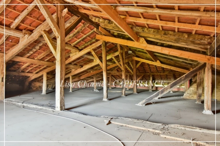 Photos 17 - Touristique - Propriete gasconne DEUX MAISONS 10 pièces de 324 m2 habitables sur 3159 m2 de terrain proche de NOGARO (32)