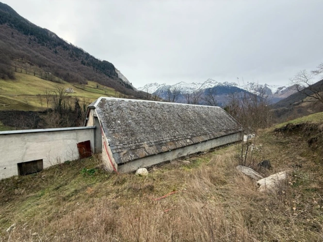 Photos 9 - Rurale - Propriété agricole sur 2,4 hectares de terrain